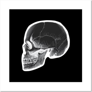 Negative Anatomy Skeleton Skull Posters and Art